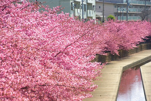 IMGP6665.jpg (116083 �o�C�g)