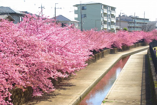 IMGP6669.jpg (98796 �o�C�g)