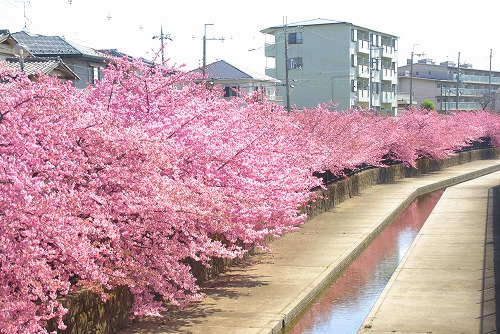 IMGP6670.jpg (95998 バイト)