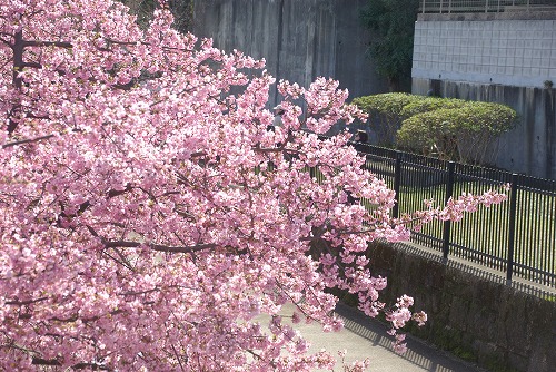 IMGP6671.jpg (110337 バイト)