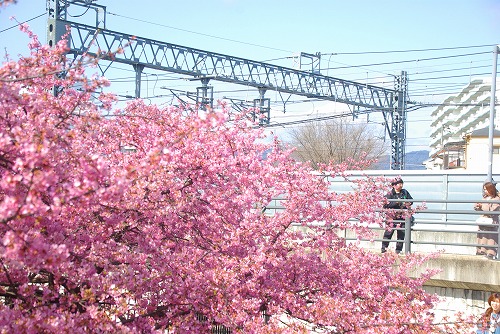 IMGP6675.jpg (107303 バイト)