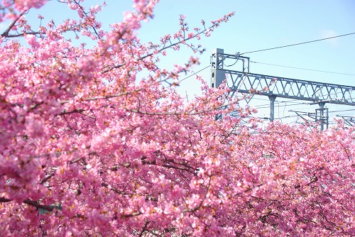 IMGP6676.jpg (104762 バイト)