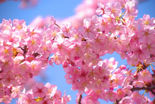 IMGP6687.jpg (74160 �o�C�g)