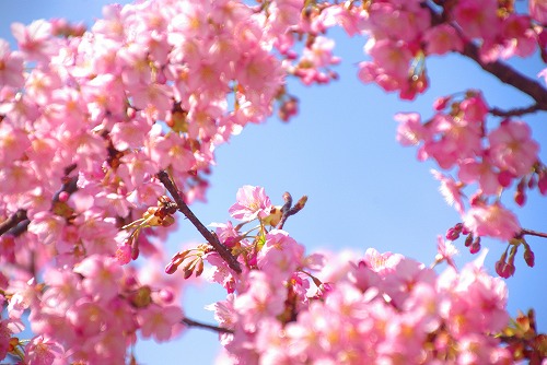 IMGP6690.jpg (65774 バイト)