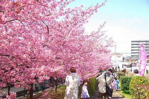 IMGP6693.jpg (112523 バイト)