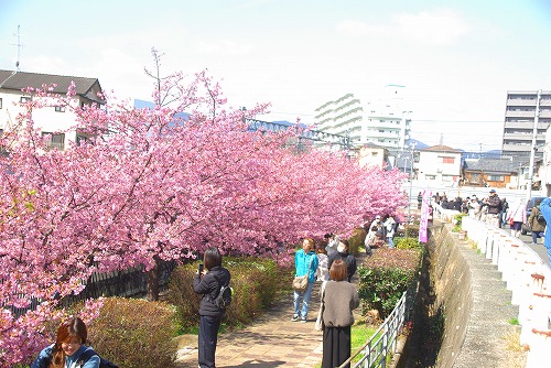 IMGP6695.jpg (90362 バイト)