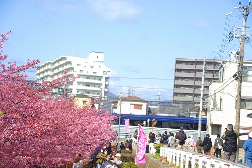 IMGP6697.jpg (78310 バイト)