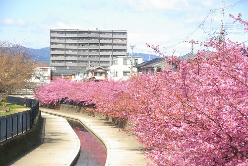 IMGP6709.jpg (91019 バイト)