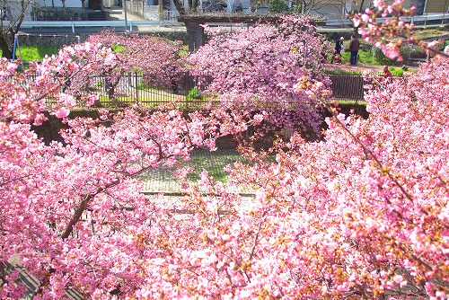 IMGP6722.jpg (138407 バイト)