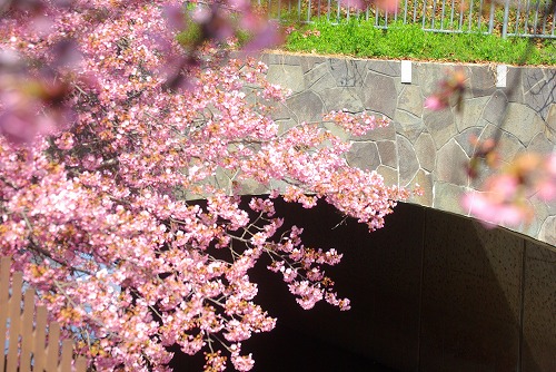 IMGP6725.jpg (95586 バイト)