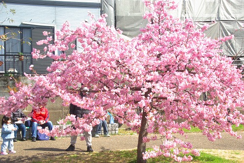 IMGP6742.jpg (115756 �o�C�g)