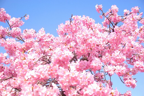 IMGP6743.jpg (93160 �o�C�g)