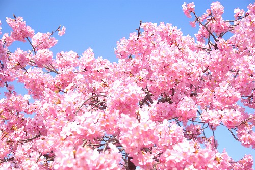 IMGP6744.jpg (102076 �o�C�g)