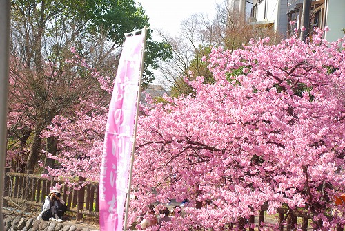 IMGP6752.jpg (121355 バイト)