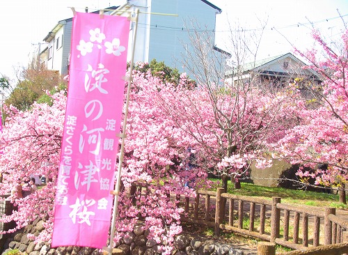 IMGP6753.jpg (114028 バイト)