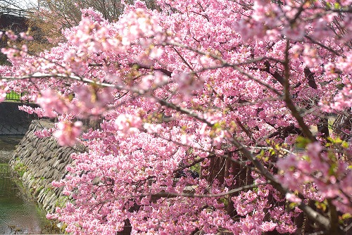 IMGP6756.jpg (119703 バイト)