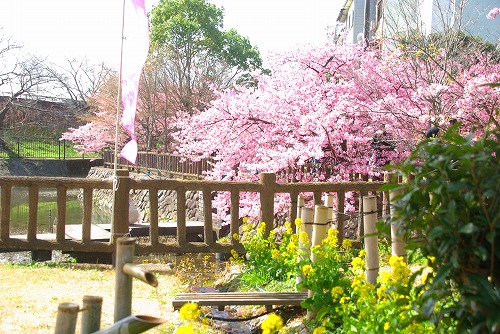 IMGP6762.jpg (105720 バイト)