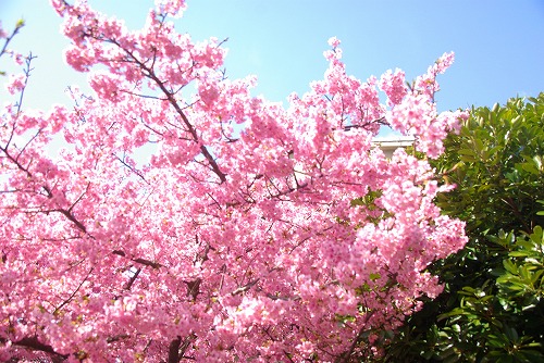 IMGP6767.jpg (103761 バイト)