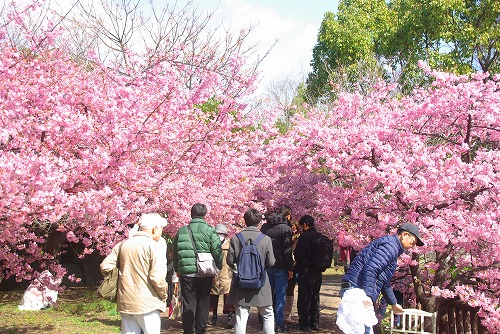 IMGP6768.jpg (122229 バイト)