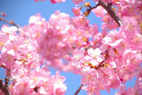 IMGP6777.jpg (59601 �o�C�g)