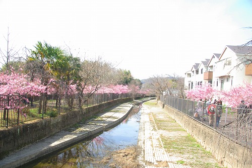 IMGP6784.jpg (72075 バイト)