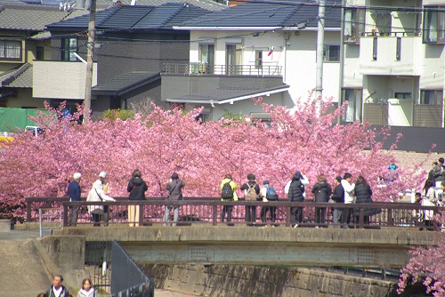 IMGP6789.jpg (86552 �o�C�g)