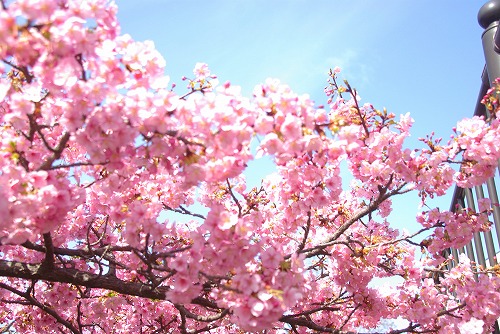 IMGP6792.jpg (95627 バイト)