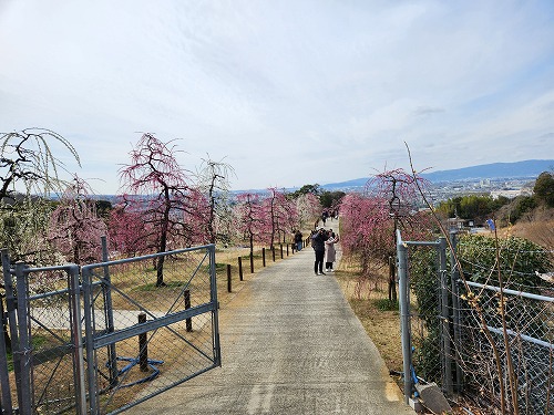 20260309_115249.jpg (87433 �o�C�g)